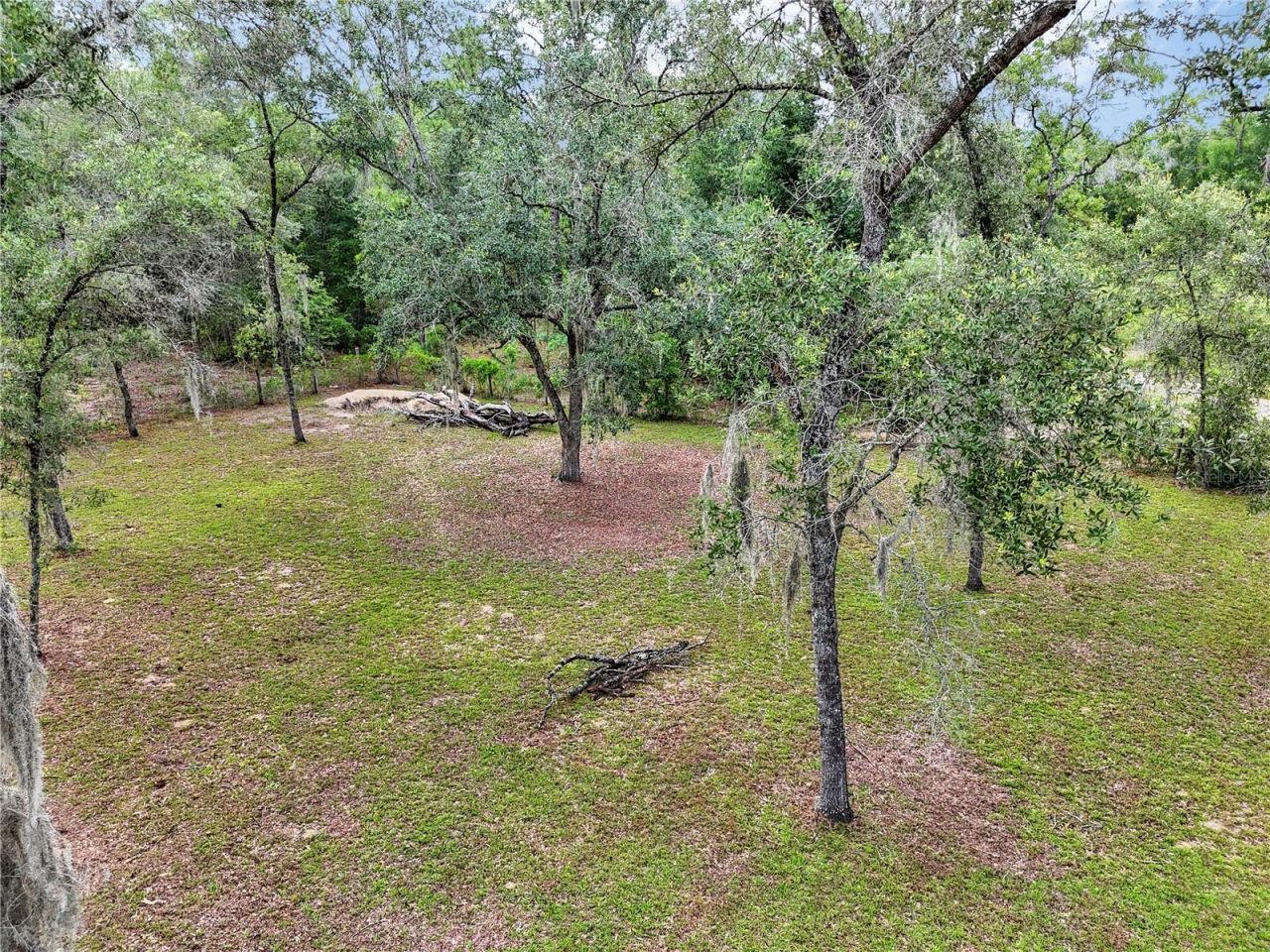 13931 SE 25th Street , Morriston, FL 32668 Photo