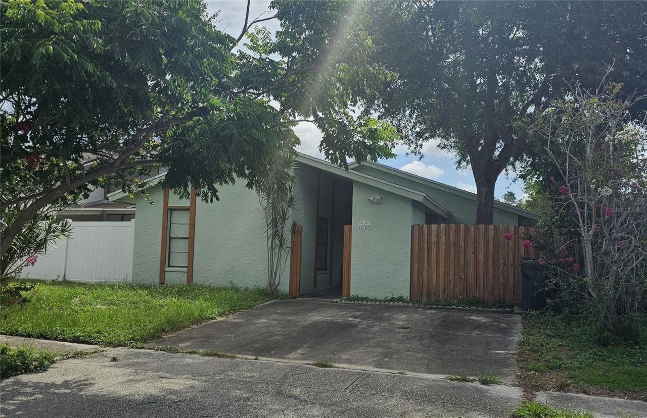 10307 Pennytree Place, Tampa, FL 33624 Main Photo