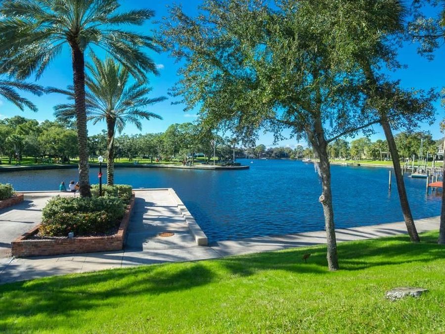 Property Image 81