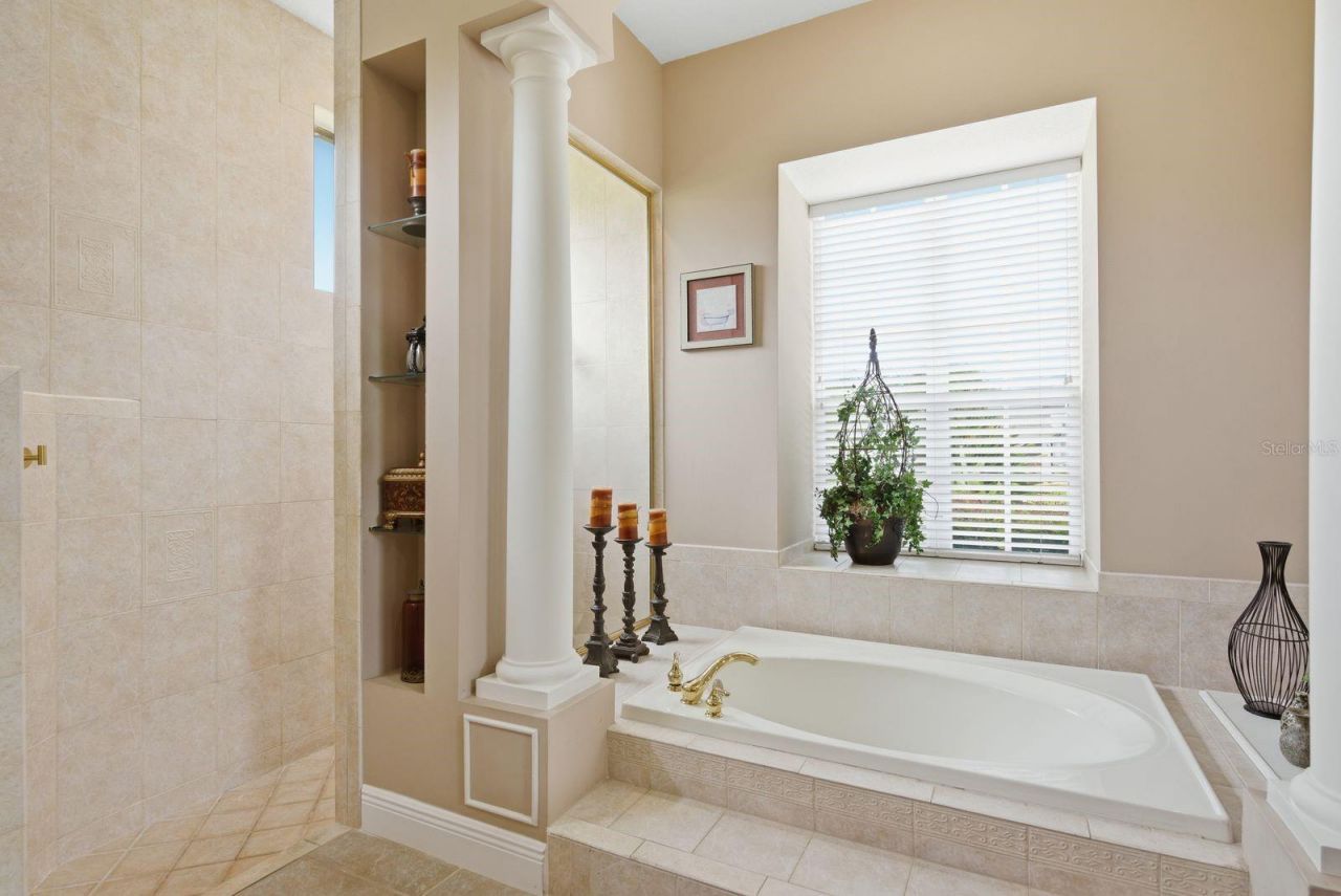 5442 Millbrook Way, Palm Harbor, FL 34685 Photo