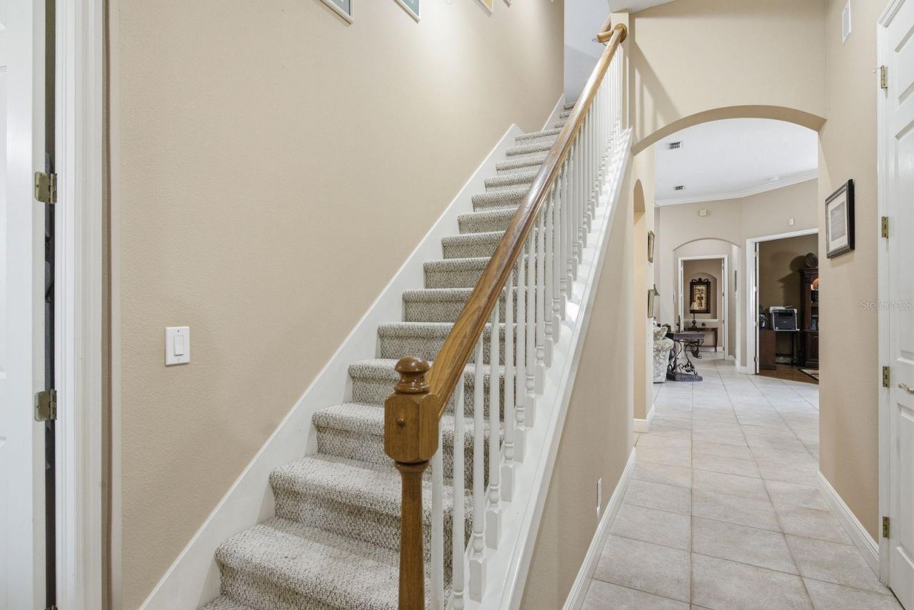 5442 Millbrook Way, Palm Harbor, FL 34685 Photo
