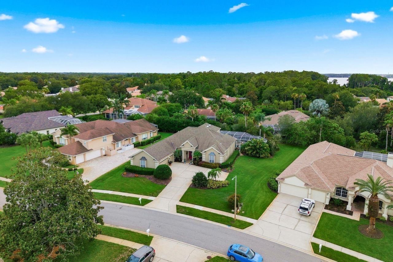 5442 Millbrook Way, Palm Harbor, FL 34685 Photo