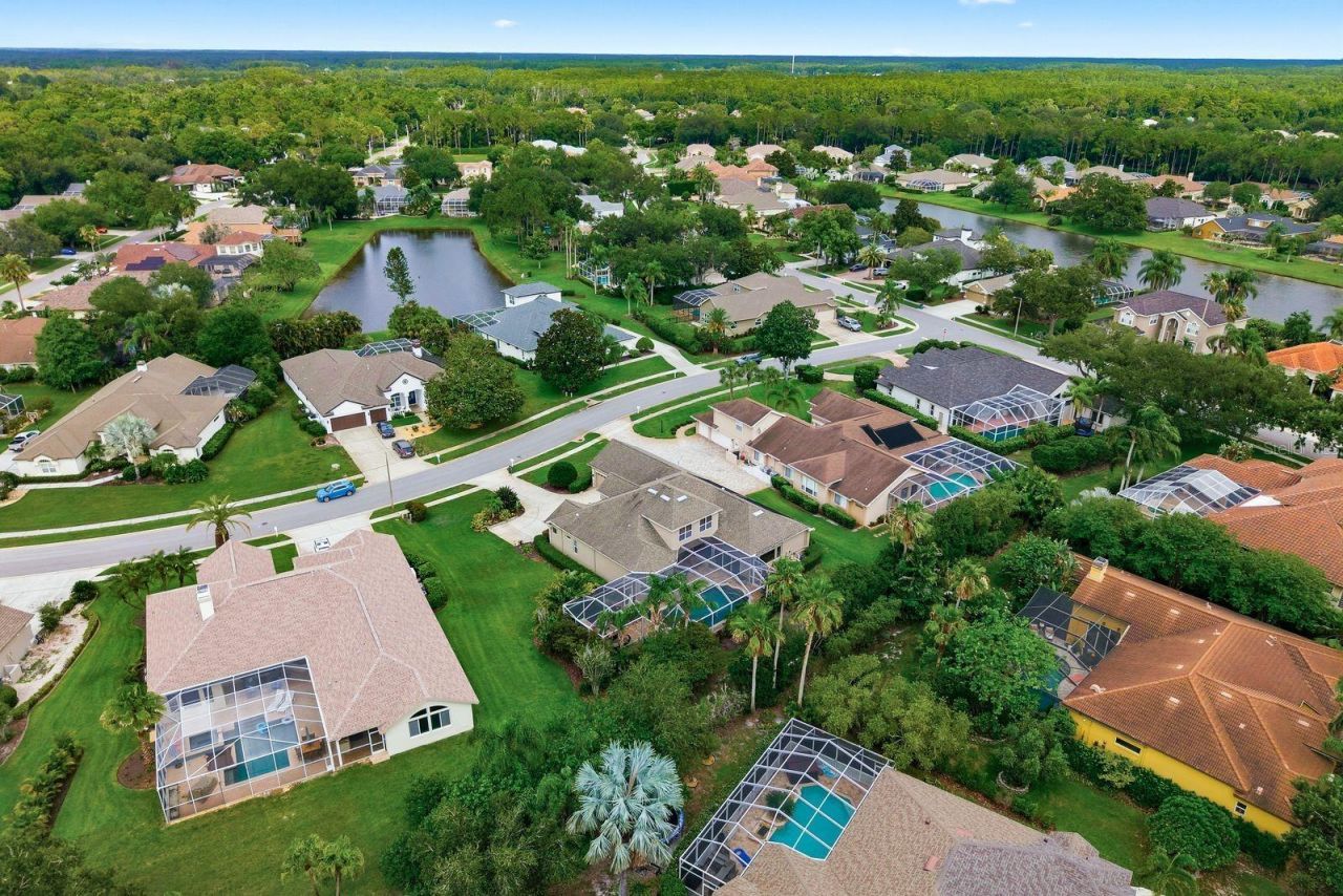 5442 Millbrook Way, Palm Harbor, FL 34685 Photo