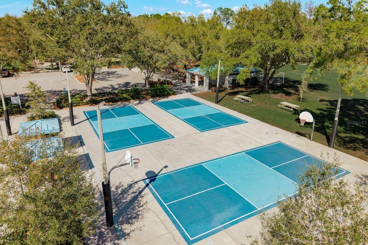 5442 Millbrook Way, Palm Harbor, FL 34685 Photo