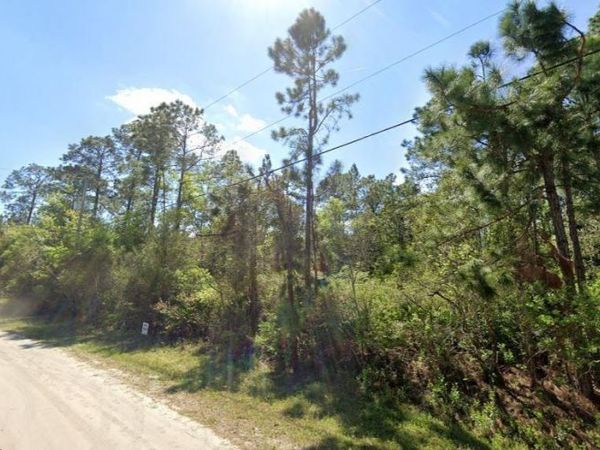 2834 ORANGE BLOSSOM STREET , BUNNELL, FL 32110