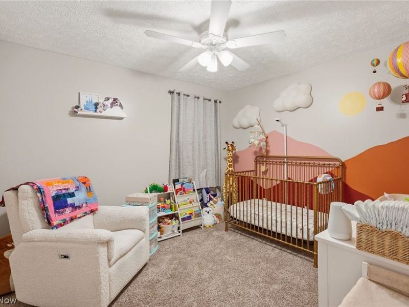 8764 Ashton Place Drive, North Ridgeville, OH 44039 Photo 19