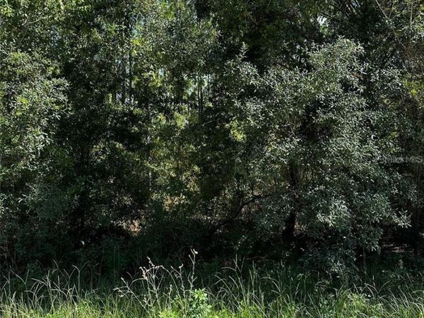 XX SE 21ST PLACE , WILLISTON, FL 32696