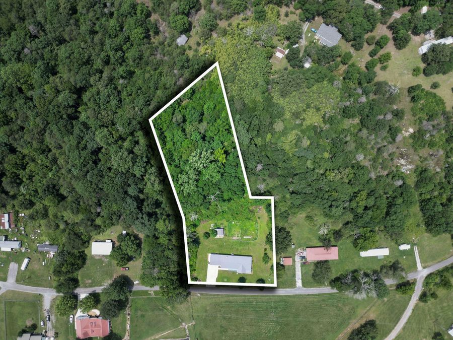 Property Image 6