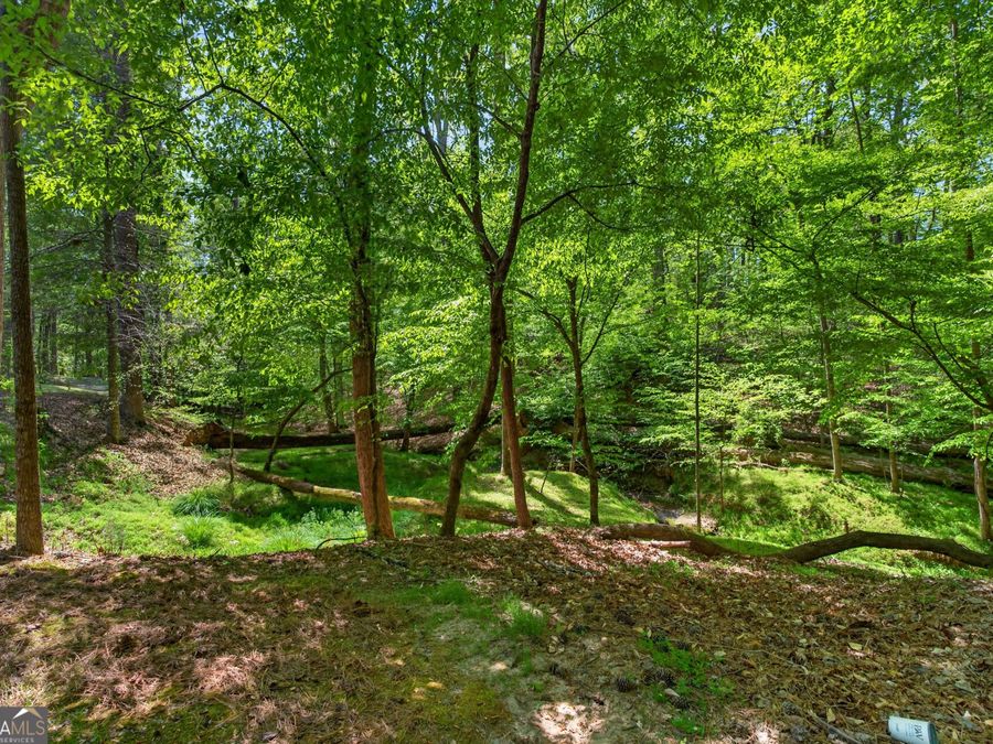 Property Image 61