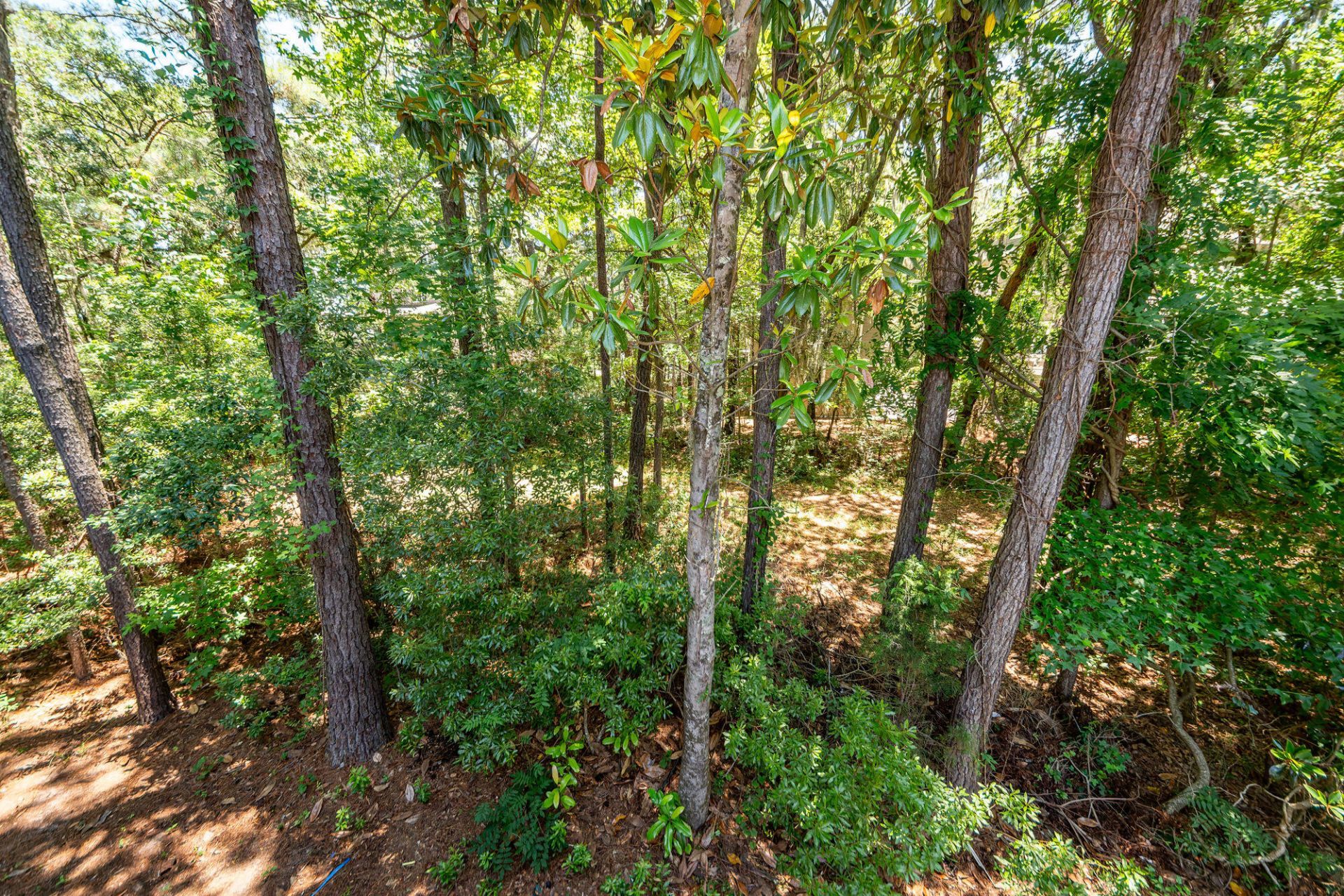 1412 Widows Court Photo 48