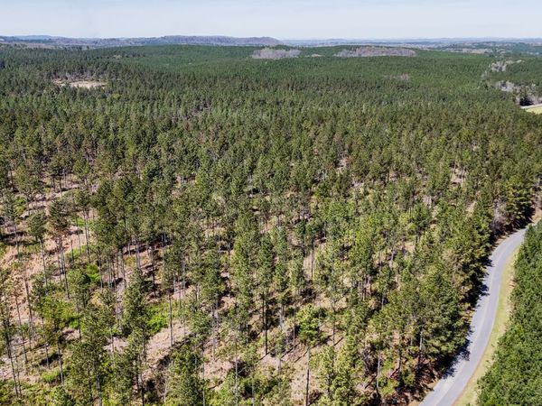 403 ACRES Youngs Farm Road, Cedartown, GA 30125