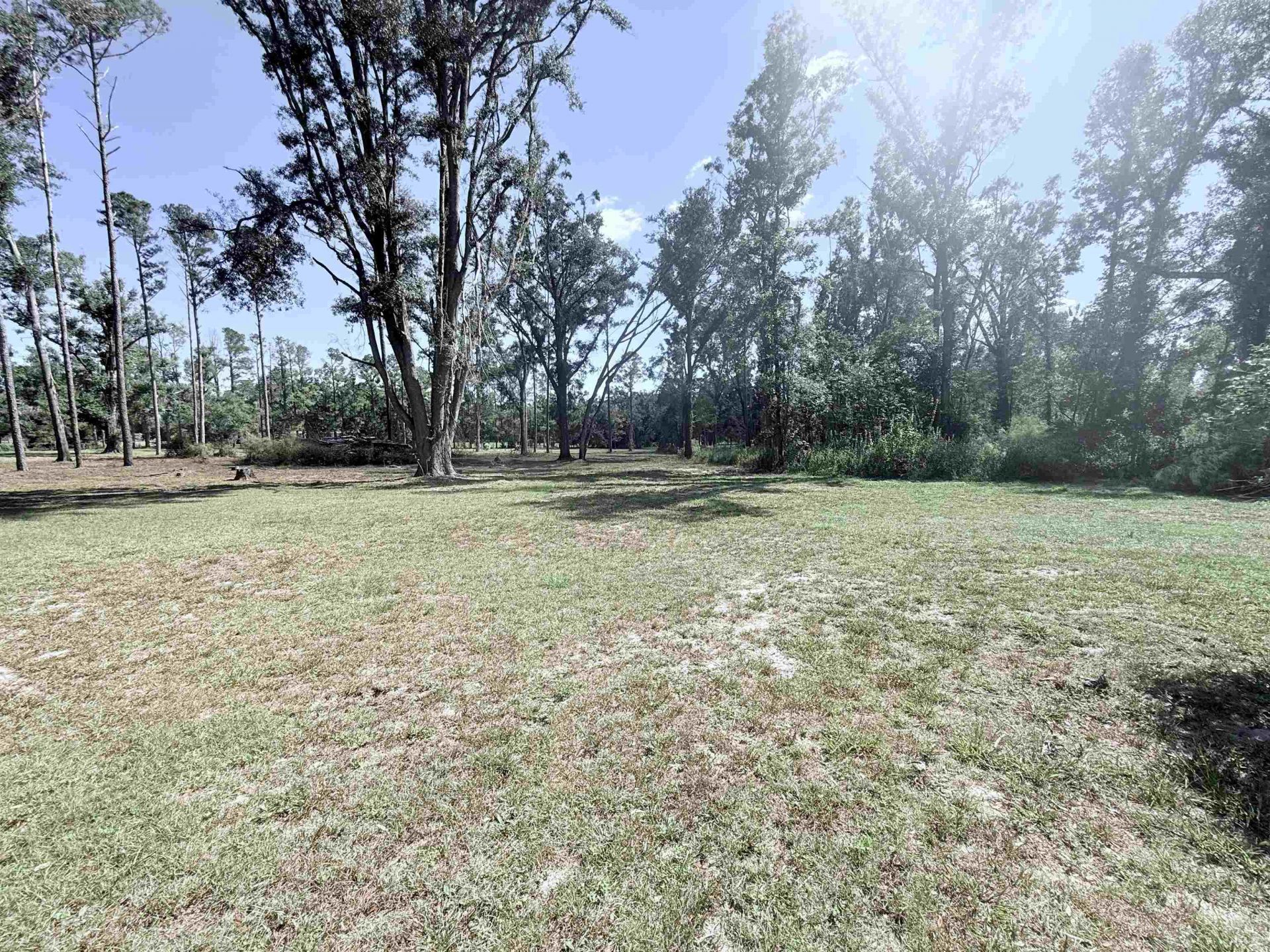 17268 181st Loop , Live Oak, FL 32060 Photo