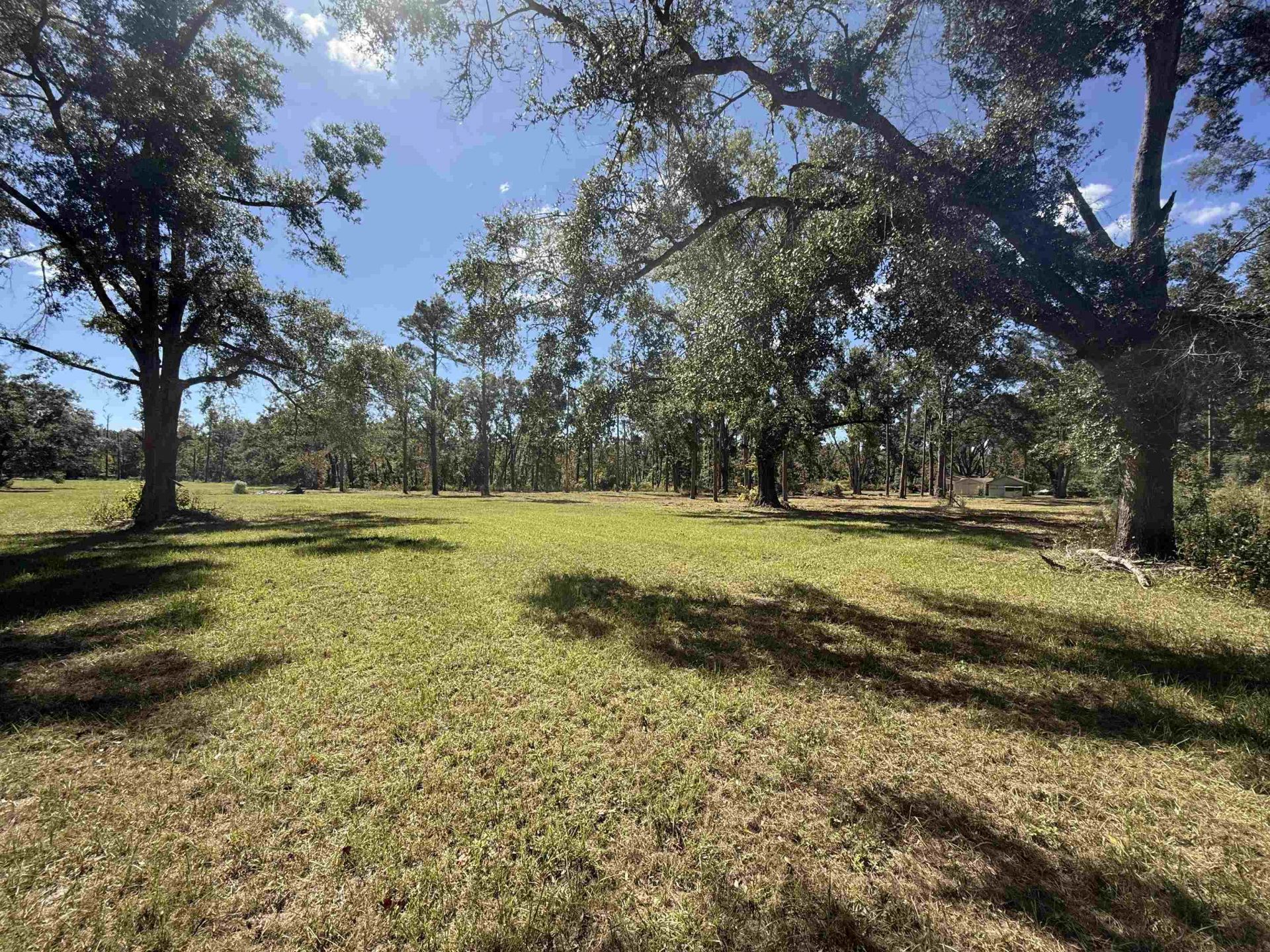 17268 181st Loop , Live Oak, FL 32060 Photo