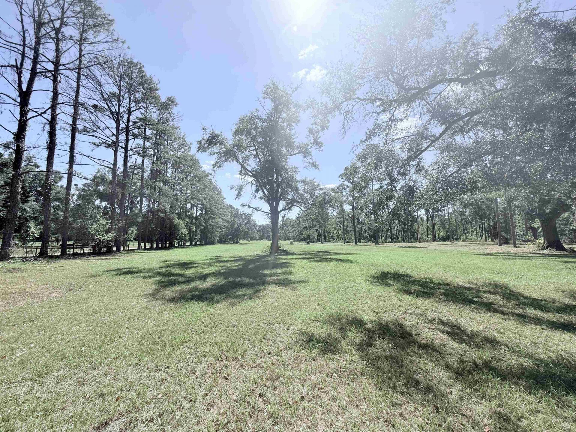 17268 181st Loop , Live Oak, FL 32060 Photo
