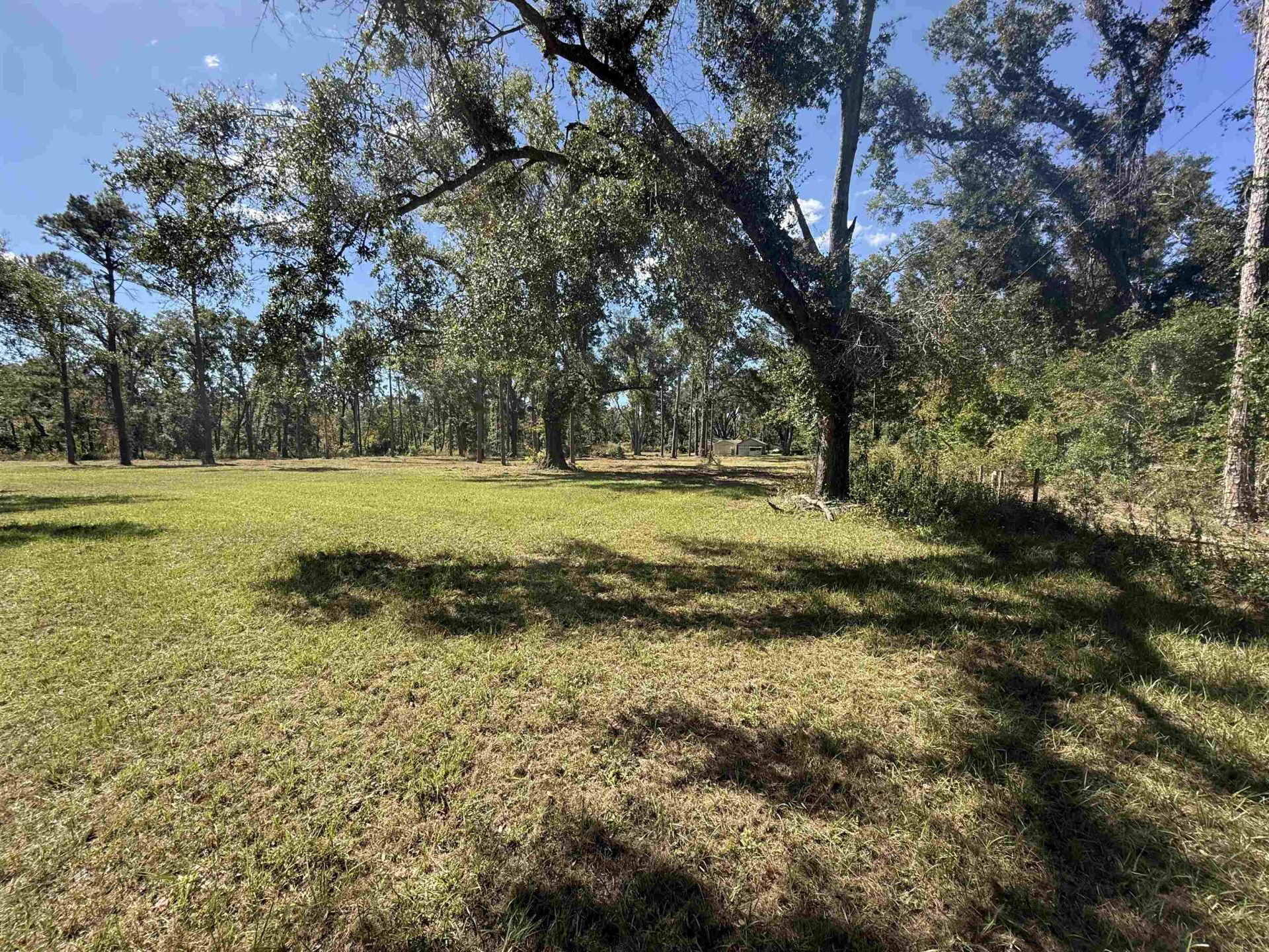 17268 181st Loop , Live Oak, FL 32060 Photo