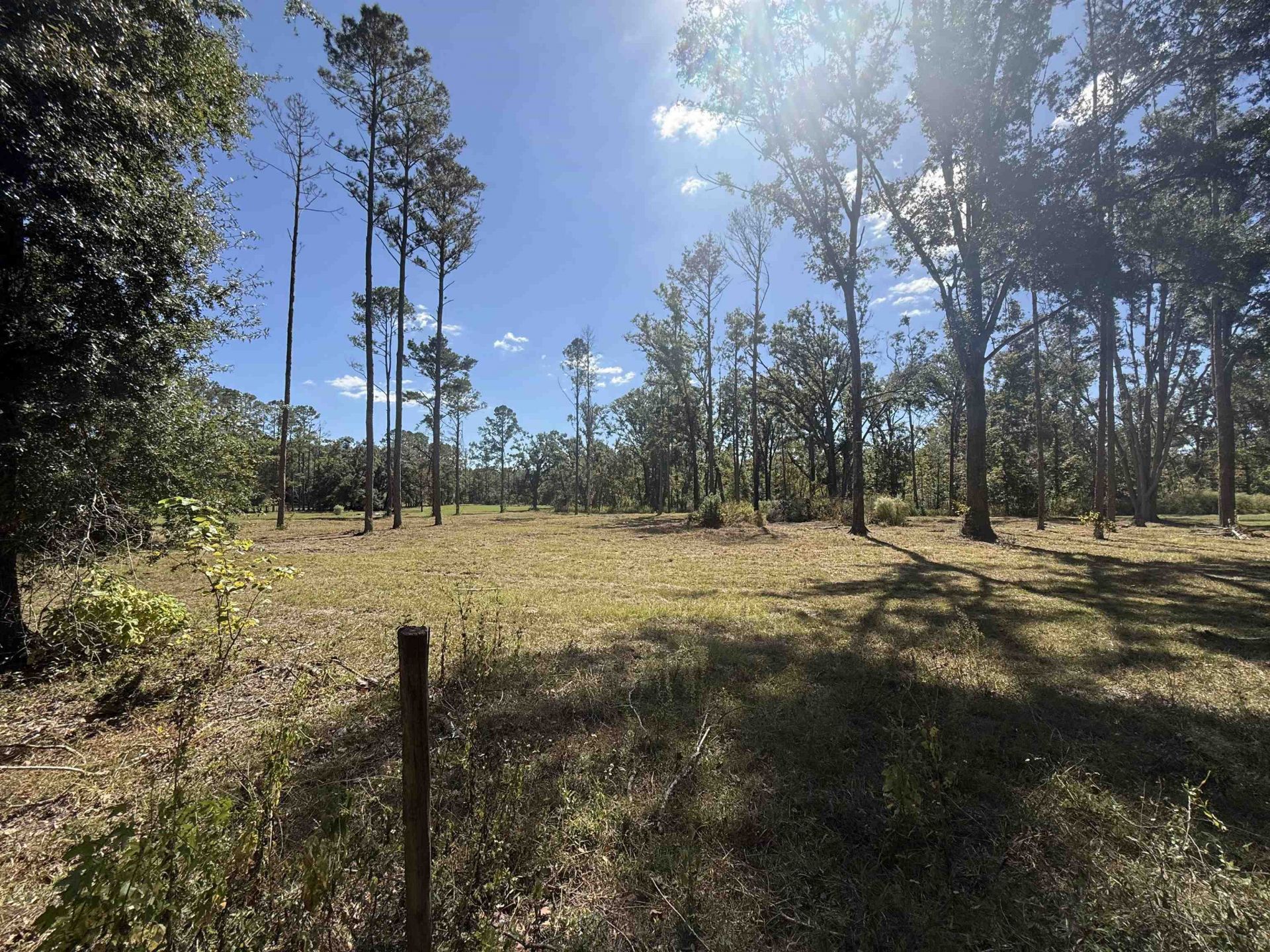17268 181st Loop , Live Oak, FL 32060 Photo