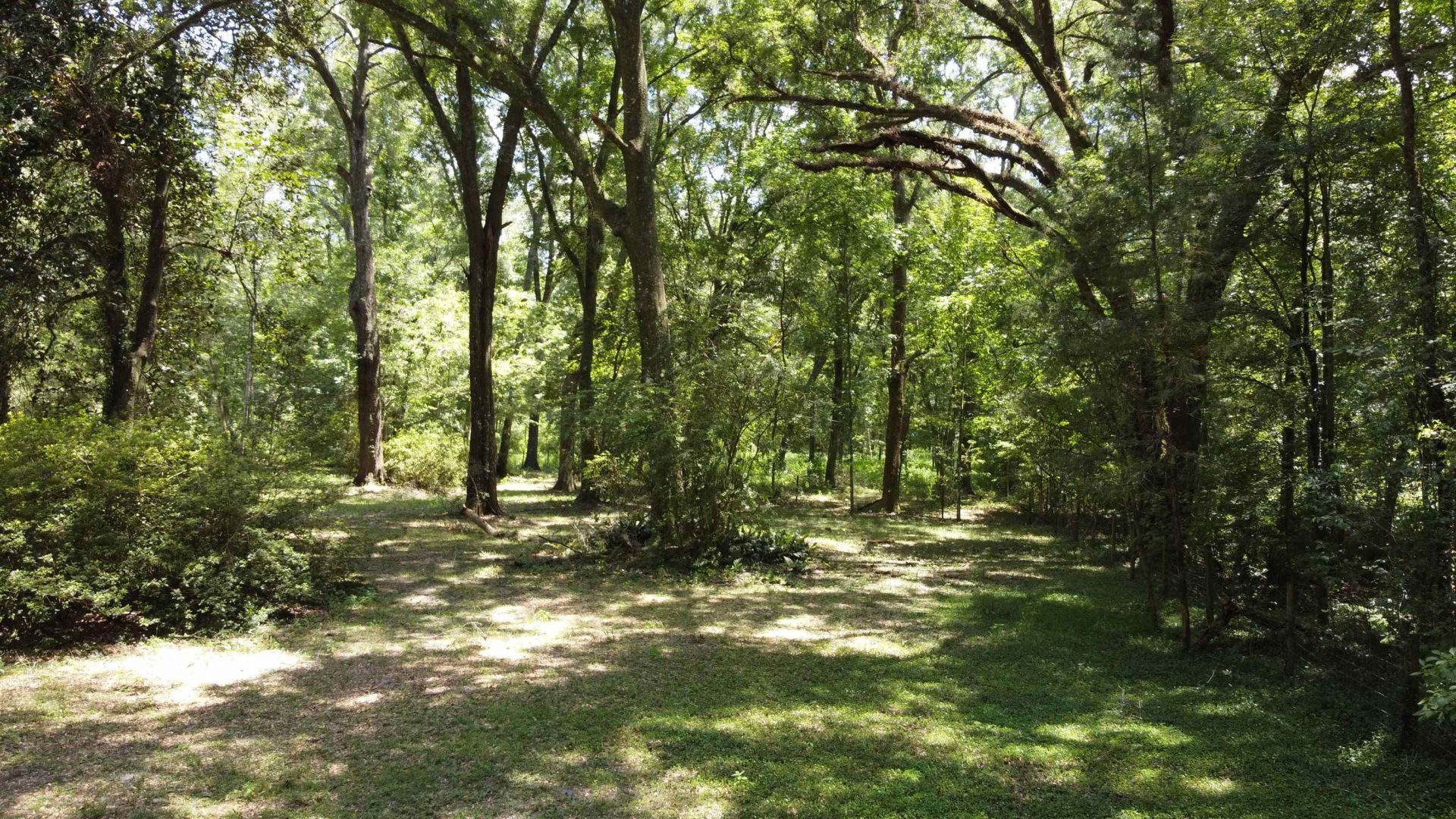 17268 181st Loop , Live Oak, FL 32060 Photo