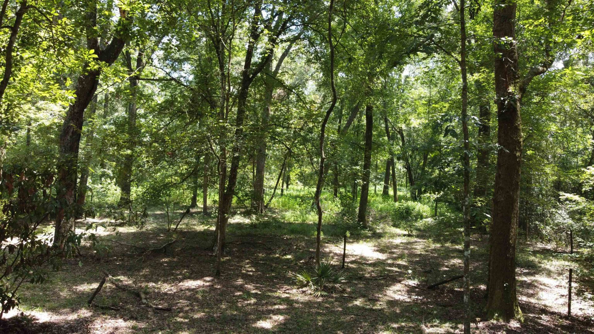 17268 181st Loop , Live Oak, FL 32060 Photo
