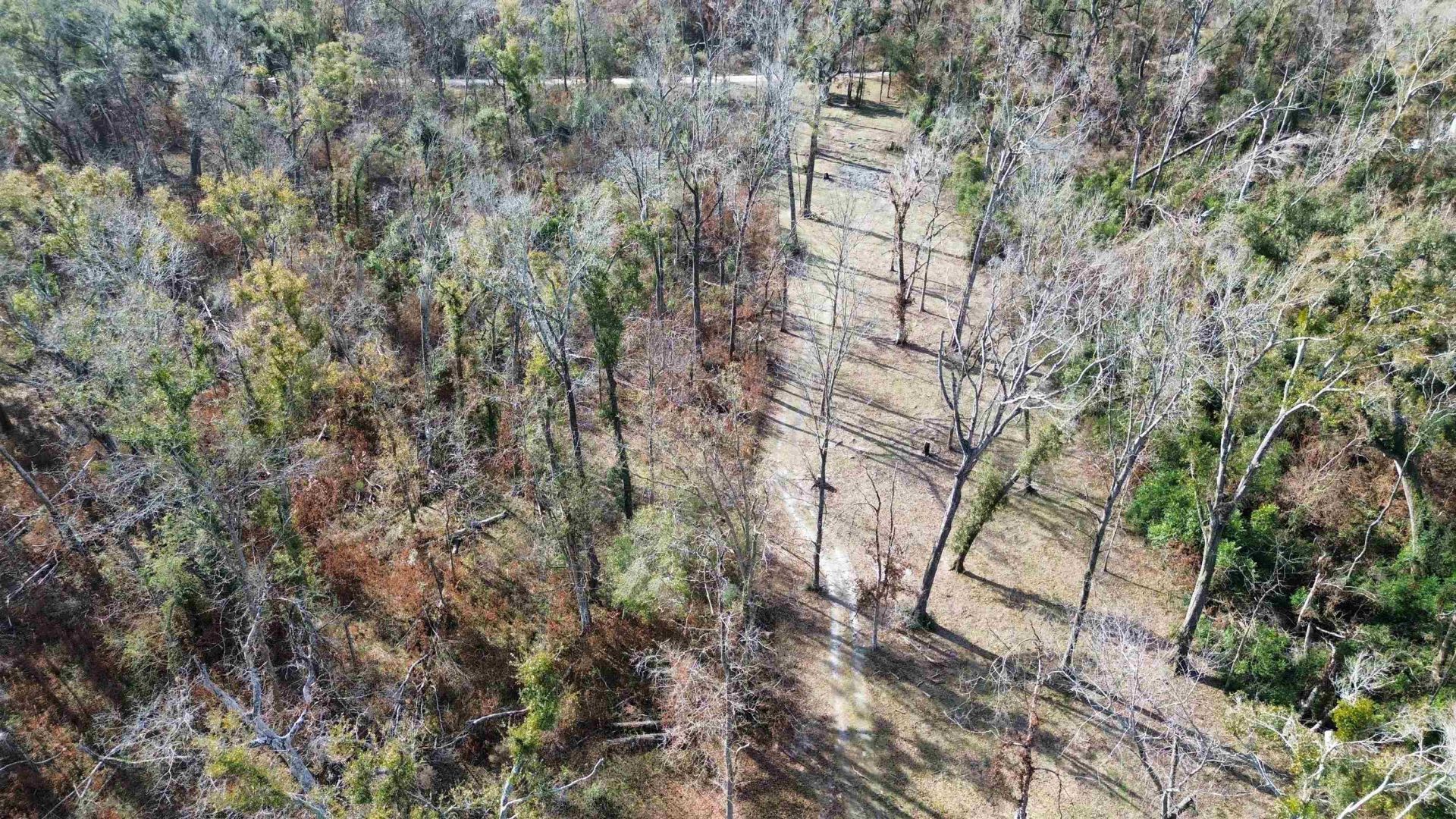 17268 181st Loop , Live Oak, FL 32060 Photo