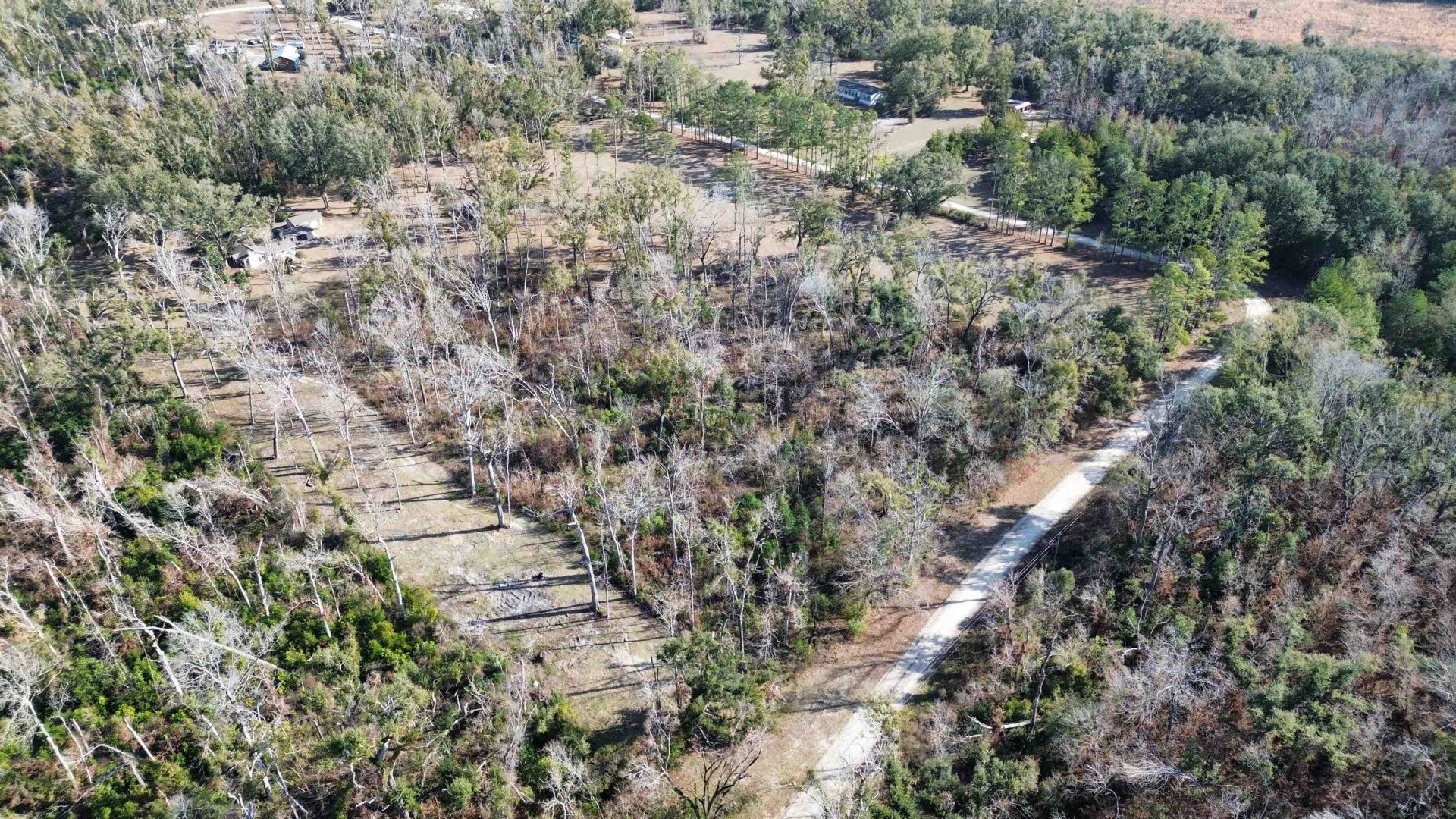 17268 181st Loop , Live Oak, FL 32060 Photo