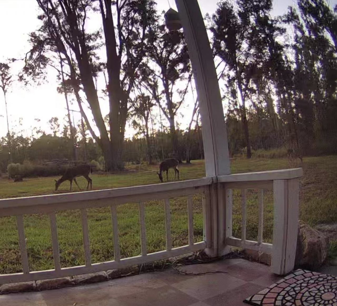 17268 181st Loop , Live Oak, FL 32060 Photo