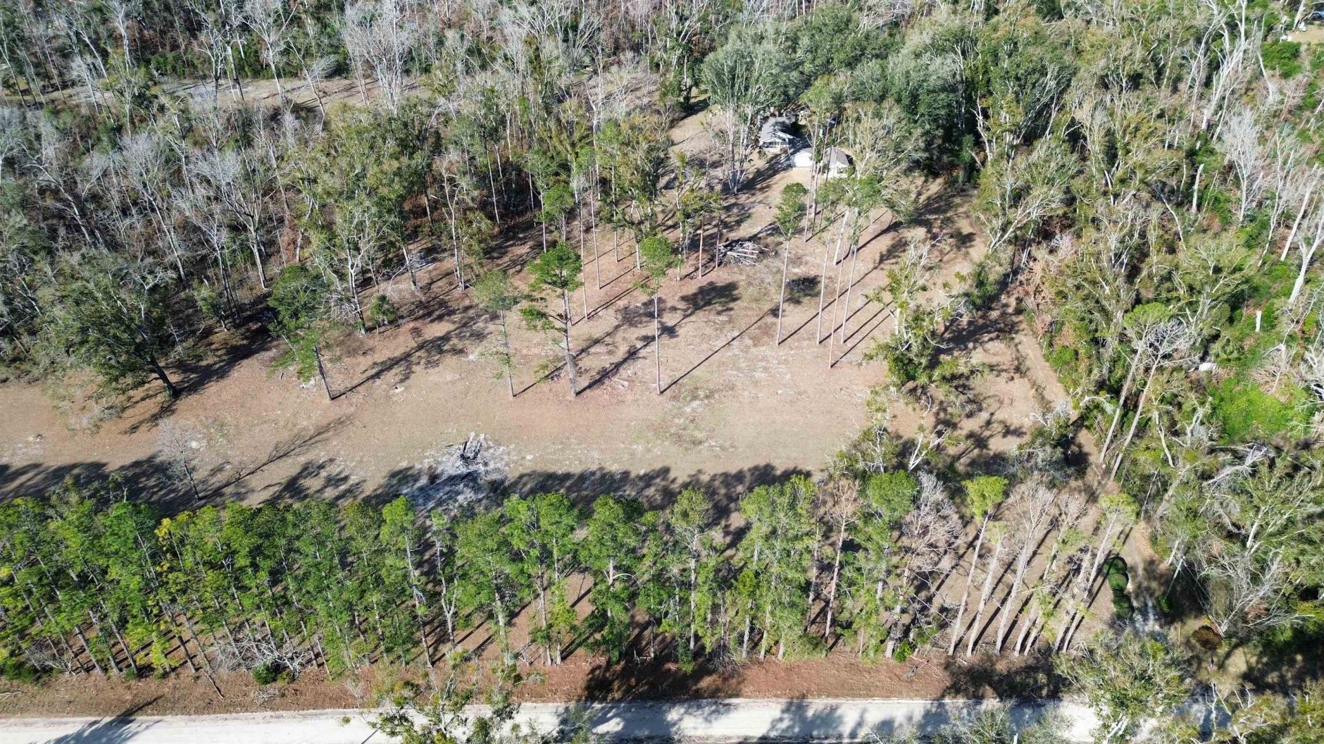 17268 181st Loop , Live Oak, FL 32060 Photo