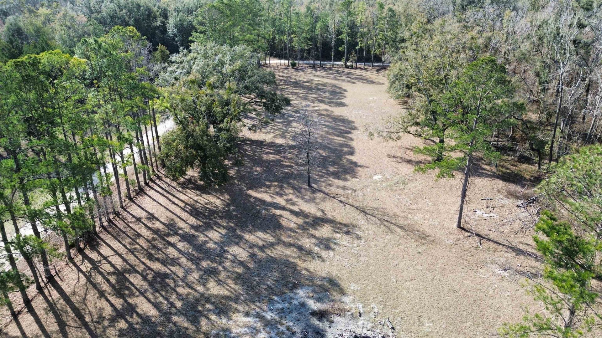 17268 181st Loop , Live Oak, FL 32060 Photo