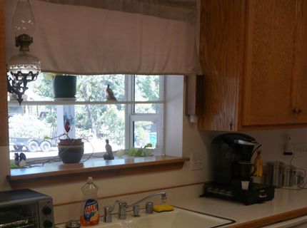 141 Forest View Drive, Quincy, CA 95971 Photo
