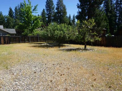 141 Forest View Drive, Quincy, CA 95971 Photo
