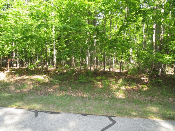 11190 Hassler Woods Trail, Alanson, MI 49706