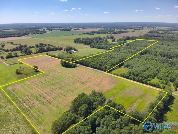 47 Acres Tanner Road, Danville, AL 35619