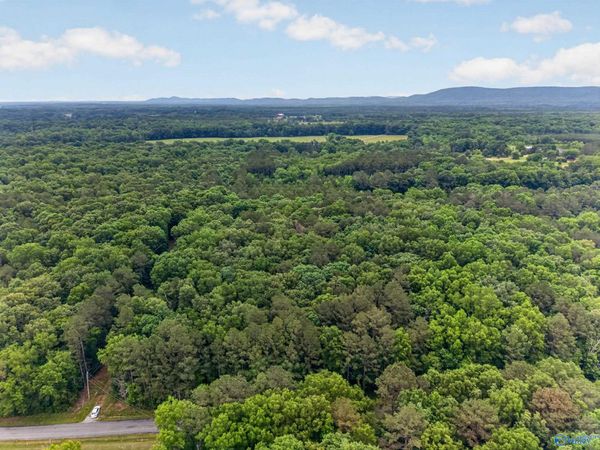 2 lots Christopher Avenue, Southside, AL 35907