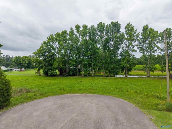 2 lots Christopher Avenue, Southside, AL 35907