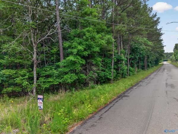 2 lots Christopher Avenue, Southside, AL 35907
