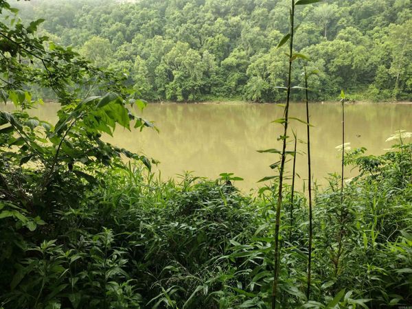 890 S River View LN , Mountain View, AR 72556