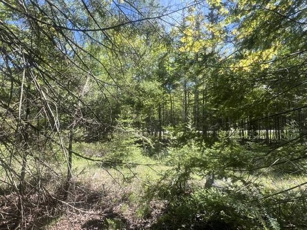 TBD E South Caribou Lake RD, De Tour Village, MI 49725