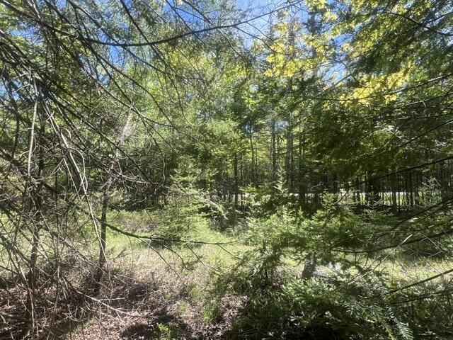 Tbd E South Caribou Lake Rd, De Tour Village, MI 49725 Main Photo