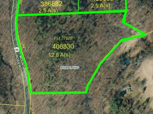 0 Mt Ross Road, Pine Plains, NY 12567