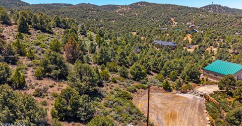 21905 Panhandle Road, Reno, NV 89521 Photo