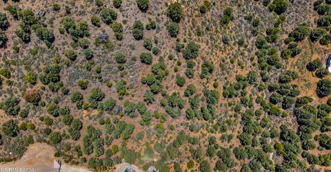 21905 Panhandle Road, Reno, NV 89521 Photo