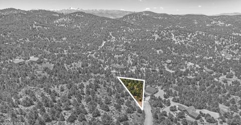 21905 Panhandle Road, Reno, NV 89521 Photo