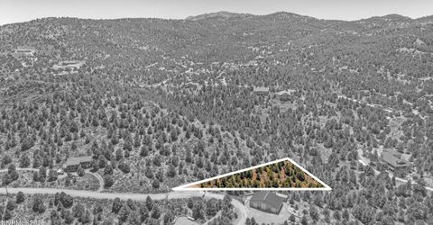 21905 Panhandle Road, Reno, NV 89521 Photo