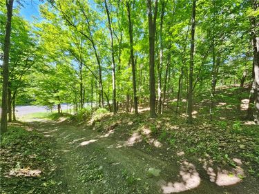615 East Lake Rd - Rt 54 Road , Penn Yan, NY 14527