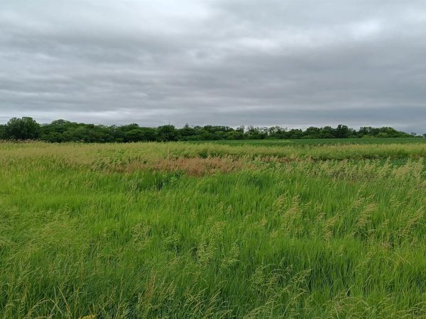 0 Ash Avenue, Batavia, IA 52533