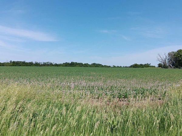 0 Ash Avenue, Batavia, IA 52533
