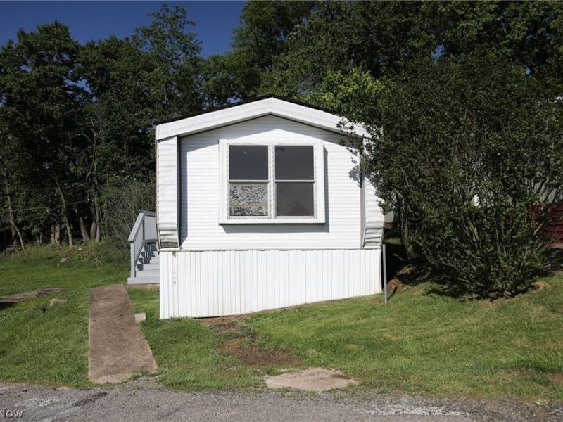 216 Young Lane, Saint Clairsville, OH 43950 Photo 2