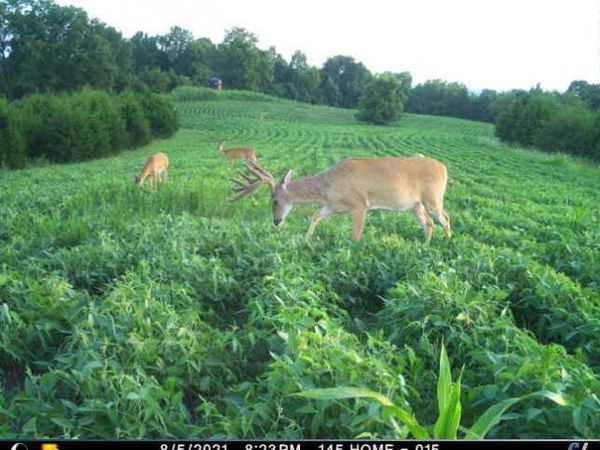 0 Mann Road, Mt. Olivet, KY 41064