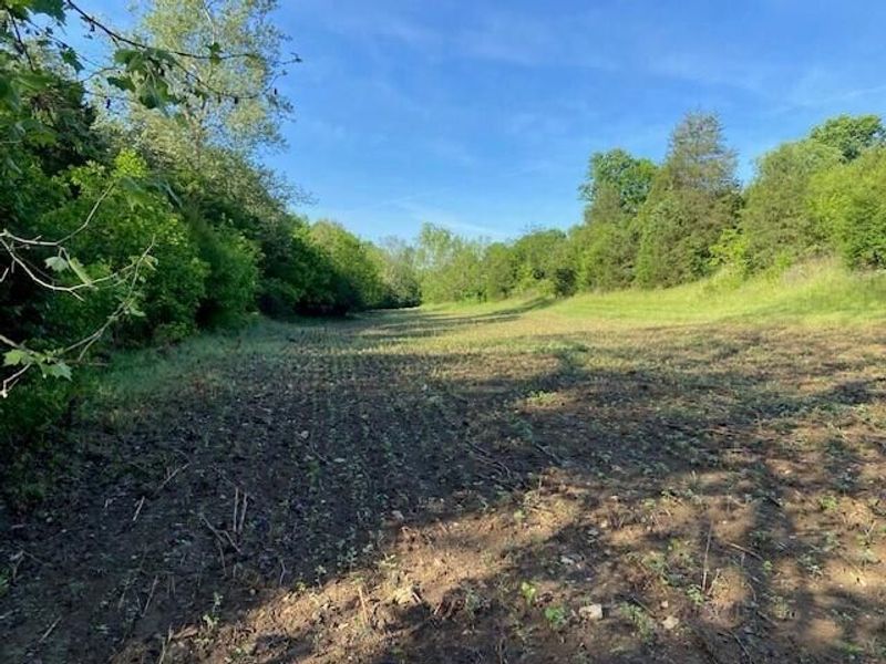 0 Mann Road, Mount Olivet, KY 41064 Photo 10