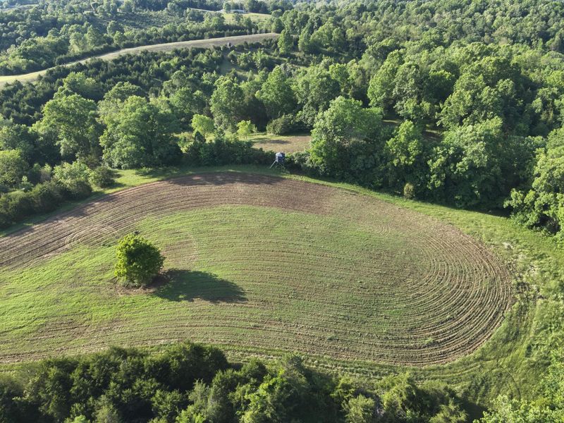0 Mann Road, Mount Olivet, KY 41064 Photo 13