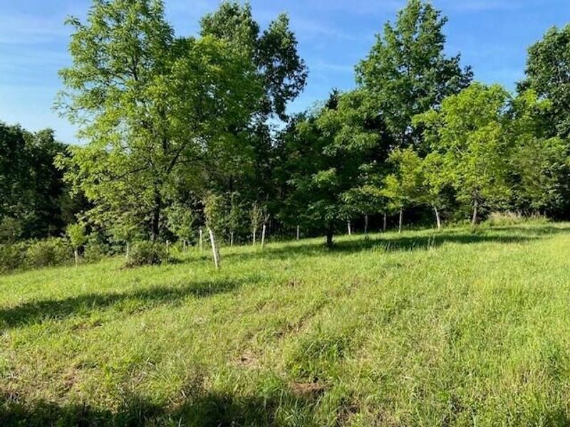 0 Mann Road, Mount Olivet, KY 41064 Photo 21